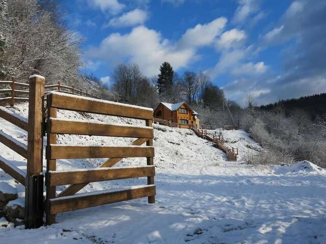 Лоджи Cottage Goyra Яремче-27